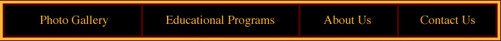 Period Productions